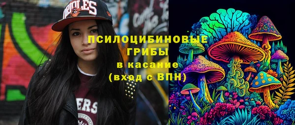 шишки Ростов