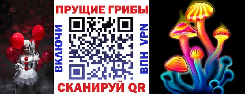 где купить   Сальск  Псилоцибиновые грибы MAGIC MUSHROOMS 